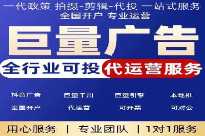 专业SEM服务公司案例分析报告